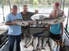(07/17/2017) - Nice Striped Bass